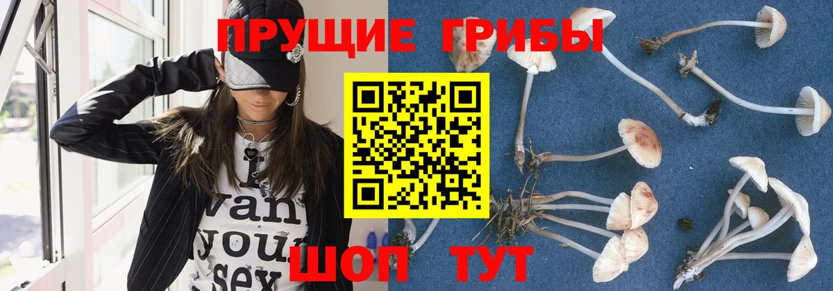 Галлюциногенные грибы Psilocybe Выкса