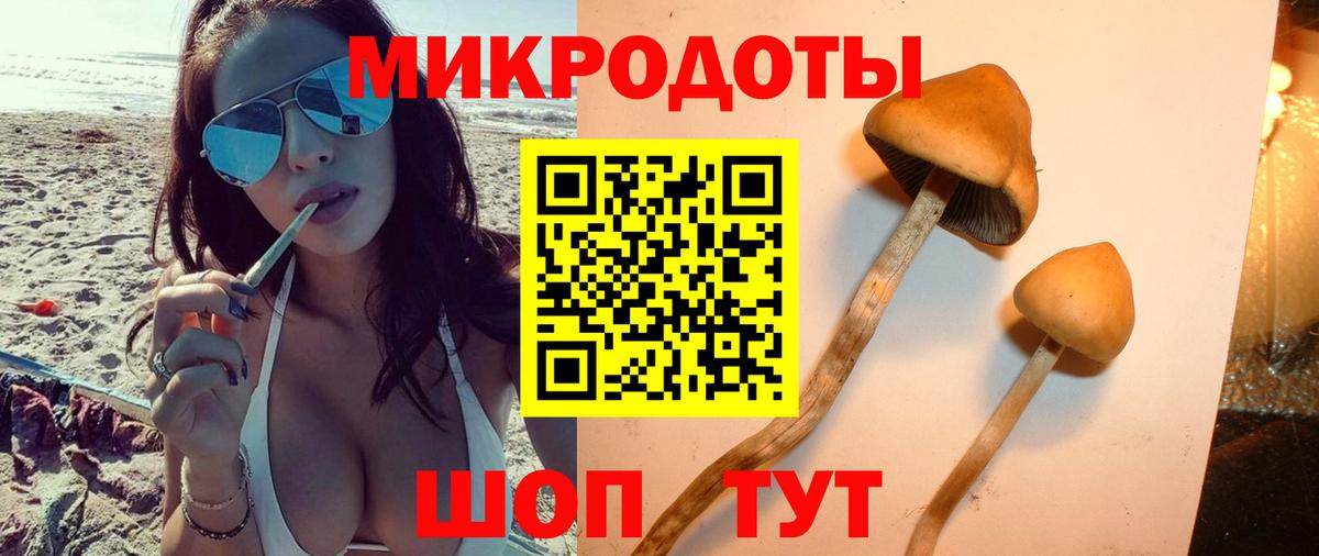 Выкса  Псилоцибиновые грибы MAGIC MUSHROOMS  Галлюциногенные грибы мицелий  Вход с VPN 